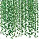 252FT 36PCS IVY