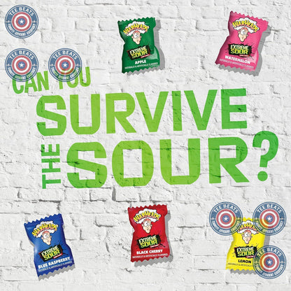 WARHEADS Extreme Sour Hard Candy Variety Pack 2 oz Bag After School Treat for Kids Backpacks and Playdates