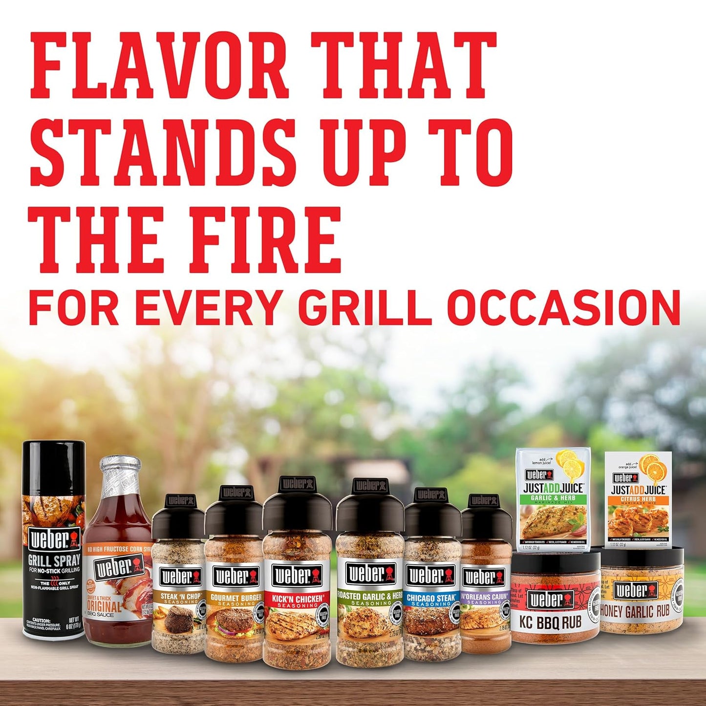 Weber Steak Seasoning – Portable 2.5 Ounce Shaker for Camping, Tailgates, and Patio Grilling
