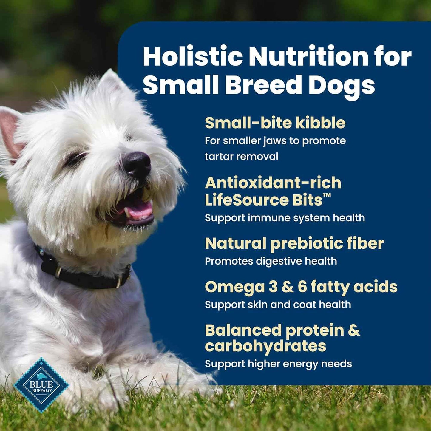 Blue Buffalo Life Protection Small Breed Adult – High-End Chicken & Brown Rice Recipe Featuring Cold-Formed LifeSource Bits