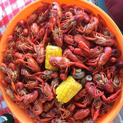 Zatarain's Crawfish, Shrimp & Crab Boil 4.5 lb – One-Step Seasoning for Efficient Batch Cooking at Home
