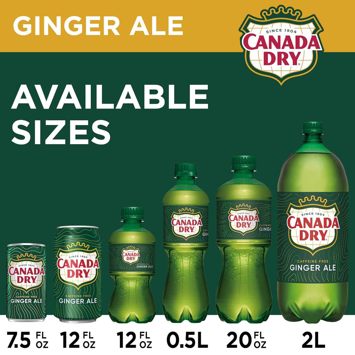 Canada Dry Ginger Ale Soda – Campfire and Trail Refreshment, Caffeine-Free 12 fl oz Cans 24 Pack